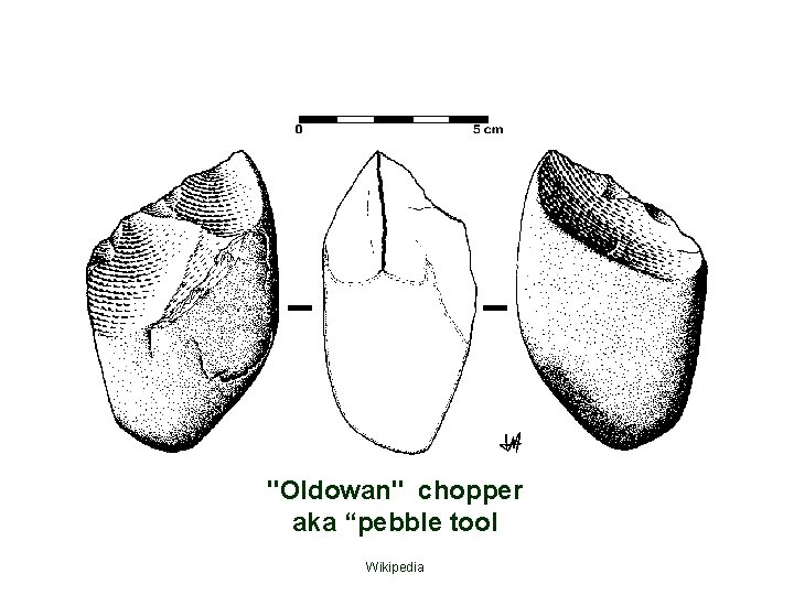 "Oldowan" chopper aka “pebble tool Wikipedia 