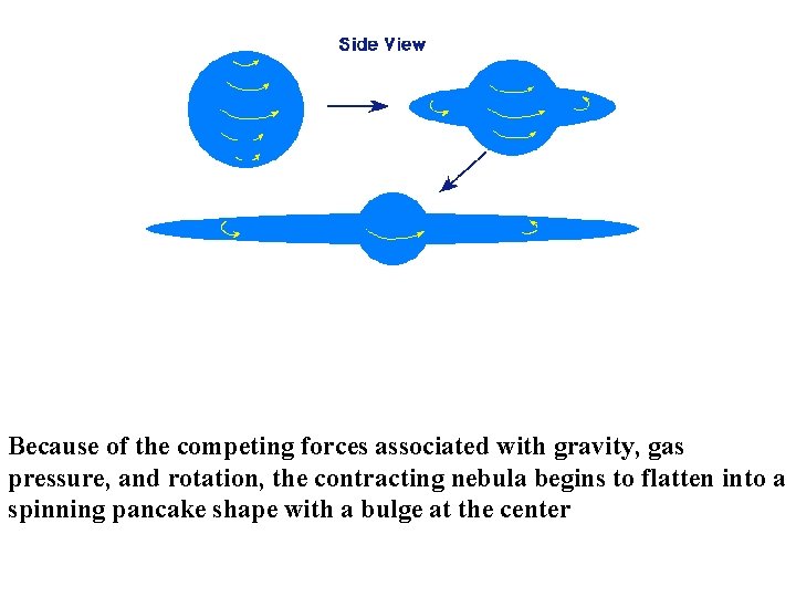 Because of the competing forces associated with gravity, gas pressure, and rotation, the contracting