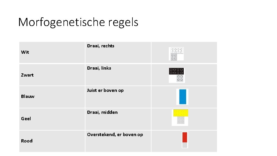 Morfogenetische regels Wit Draai, rechts Draai, links Zwart Blauw Geel Rood Juist er boven