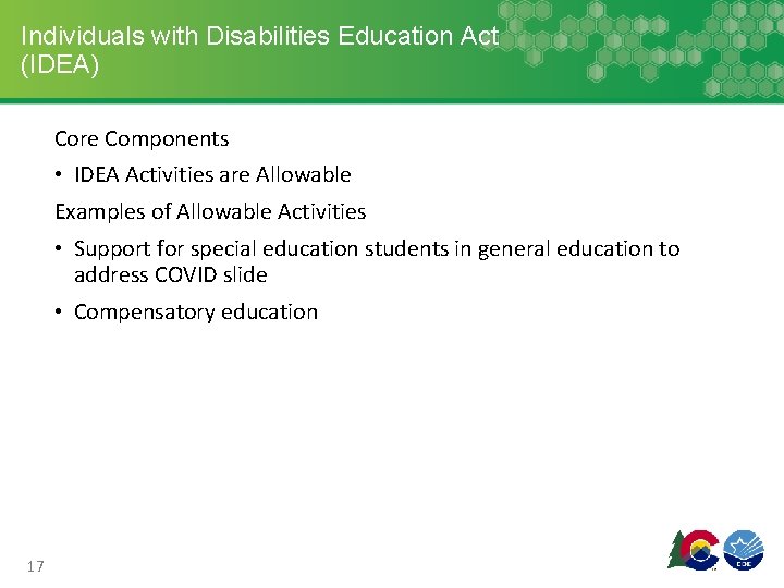 Individuals with Disabilities Education Act (IDEA) Core Components • IDEA Activities are Allowable Examples