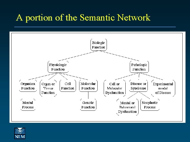 A portion of the Semantic Network 