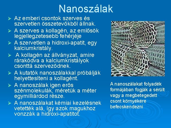 Nanoszálak Ø Ø Ø Ø Az emberi csontok szerves és szervetlen összetevőkből állnak. A