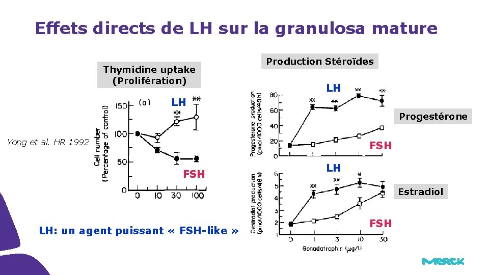Effets directs de LH sur la granulosa mature Thymidine uptake (Prolifération) Production Stéroïdes LH Effets directs de LH sur la granulosa mature Thymidine uptake (Prolifération) Production Stéroïdes LH