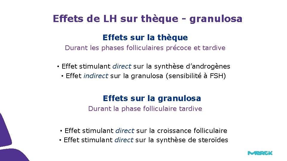 Effets de LH sur thèque - granulosa Effets sur la thèque Durant les phases Effets de LH sur thèque - granulosa Effets sur la thèque Durant les phases