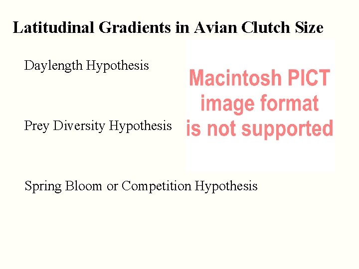 Latitudinal Gradients in Avian Clutch Size Daylength Hypothesis Prey Diversity Hypothesis Spring Bloom or