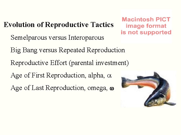 Evolution of Reproductive Tactics Semelparous versus Interoparous Big Bang versus Repeated Reproduction Reproductive Effort