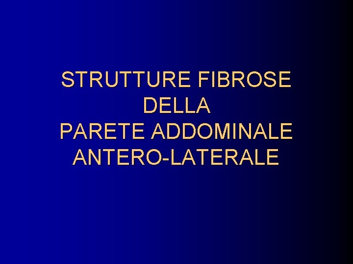 STRUTTURE FIBROSE DELLA PARETE ADDOMINALE ANTERO-LATERALE 