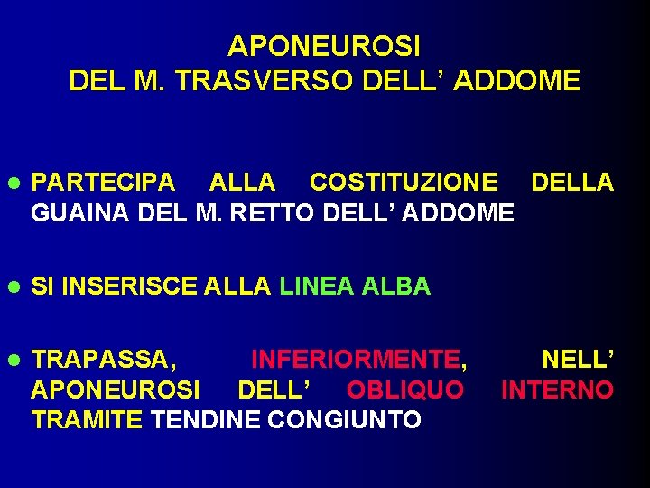 APONEUROSI DEL M. TRASVERSO DELL’ ADDOME PARTECIPA ALLA COSTITUZIONE DELLA GUAINA DEL M. RETTO