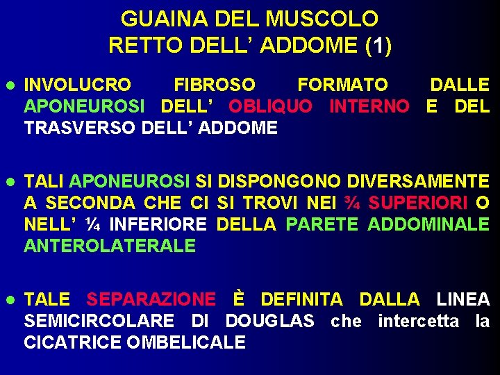 GUAINA DEL MUSCOLO RETTO DELL’ ADDOME (1) INVOLUCRO FIBROSO FORMATO DALLE APONEUROSI DELL’ OBLIQUO