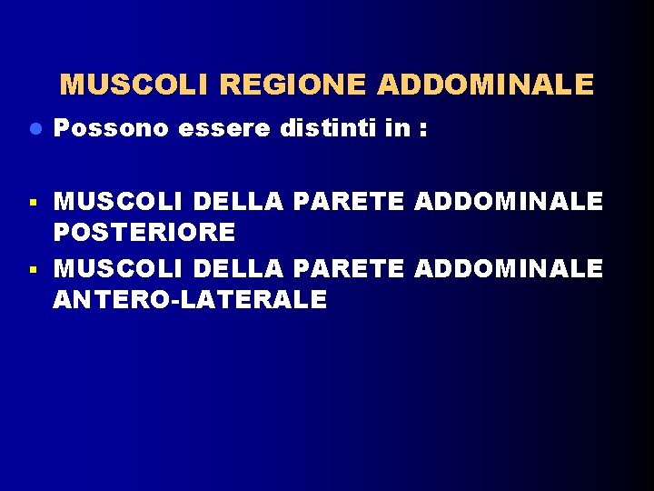 MUSCOLI REGIONE ADDOMINALE Possono essere distinti in : MUSCOLI DELLA PARETE ADDOMINALE POSTERIORE MUSCOLI