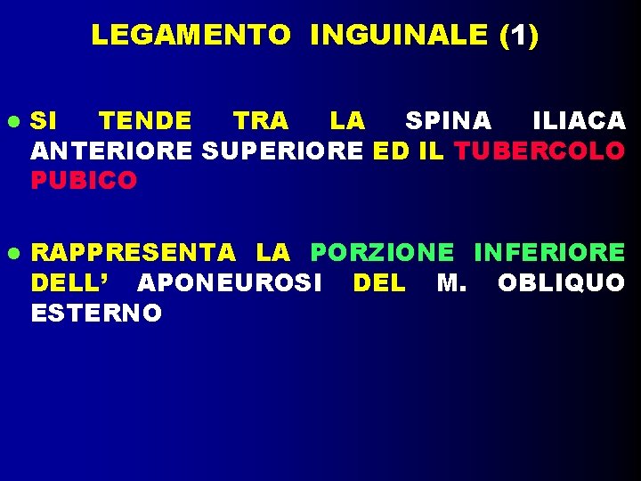 LEGAMENTO INGUINALE (1) SI TENDE TRA LA SPINA ILIACA ANTERIORE SUPERIORE ED IL TUBERCOLO