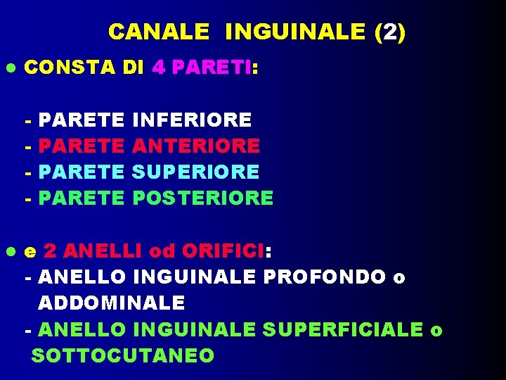 CANALE INGUINALE (2) CONSTA DI 4 PARETI: - PARETE INFERIORE ANTERIORE SUPERIORE POSTERIORE e