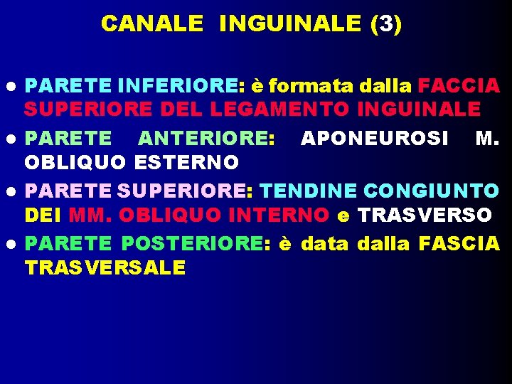 CANALE INGUINALE (3) PARETE INFERIORE: è formata dalla FACCIA SUPERIORE DEL LEGAMENTO INGUINALE PARETE