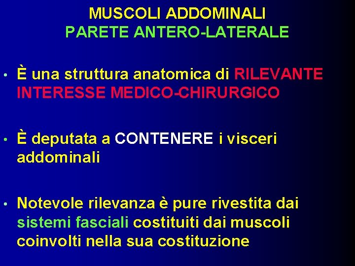 MUSCOLI ADDOMINALI PARETE ANTERO-LATERALE • È una struttura anatomica di RILEVANTE INTERESSE MEDICO-CHIRURGICO •