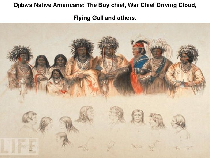 Ojibwa Native Americans: The Boy chief, War Chief Driving Cloud, Flying Gull and others.
