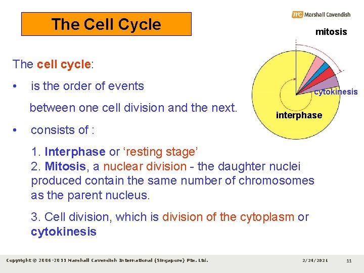 The Cell Cycle mitosis The cell cycle: • is the order of events between