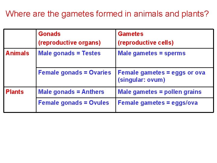 Where are the gametes formed in animals and plants? Animals Plants Gonads (reproductive organs)