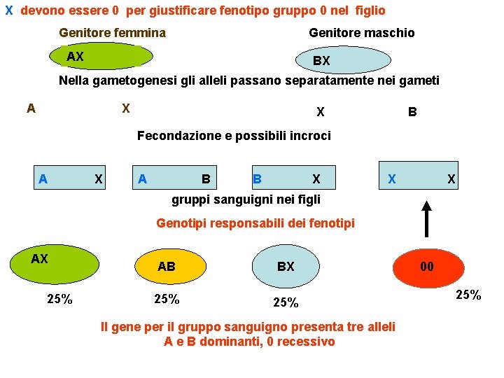 X devono essere 0 per giustificare fenotipo gruppo 0 nel figlio Genitore femmina Genitore