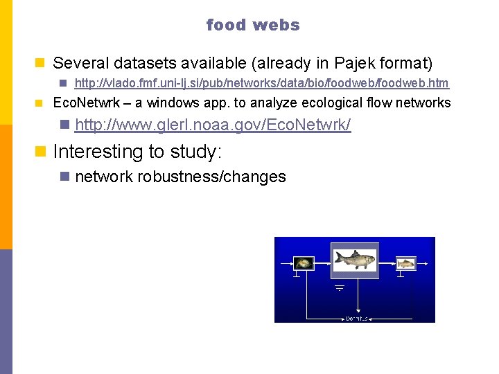 food webs n Several datasets available (already in Pajek format) n http: //vlado. fmf.