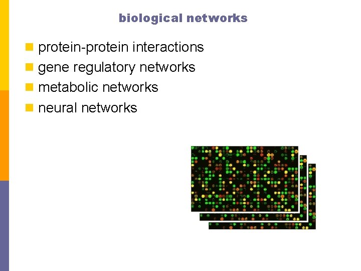 biological networks n protein-protein interactions n gene regulatory networks n metabolic networks n neural