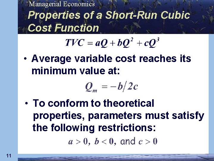Managerial Economics Properties of a Short-Run Cubic Cost Function • Average variable cost reaches