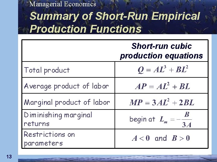 Managerial Economics Summary of Short-Run Empirical Production Functions Short-run cubic production equations Total product