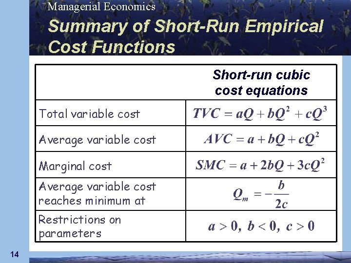 Managerial Economics Summary of Short-Run Empirical Cost Functions Short-run cubic cost equations Total variable