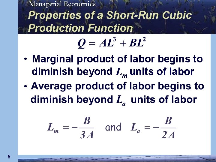 Managerial Economics Properties of a Short-Run Cubic Production Function • Marginal product of labor