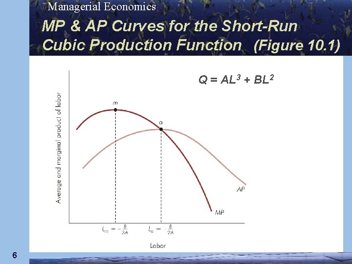 Managerial Economics MP & AP Curves for the Short-Run Cubic Production Function (Figure 10.