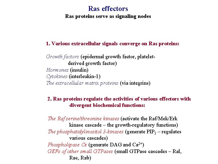 Ras effectors Ras proteins serve as signaling nodes 1. Various extracellular signals converge on