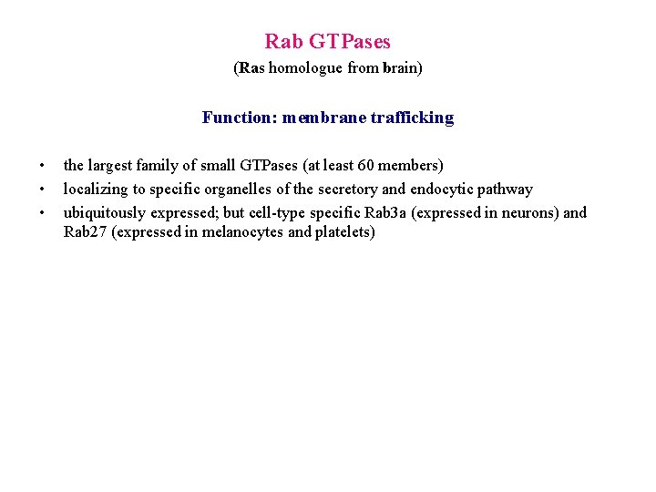 Rab GTPases (Ras homologue from brain) Function: membrane trafficking • • • the largest