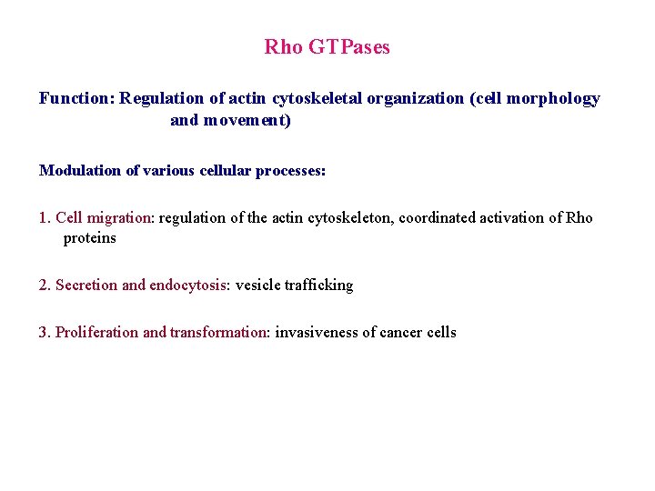 Rho GTPases Function: Regulation of actin cytoskeletal organization (cell morphology and movement) Modulation of