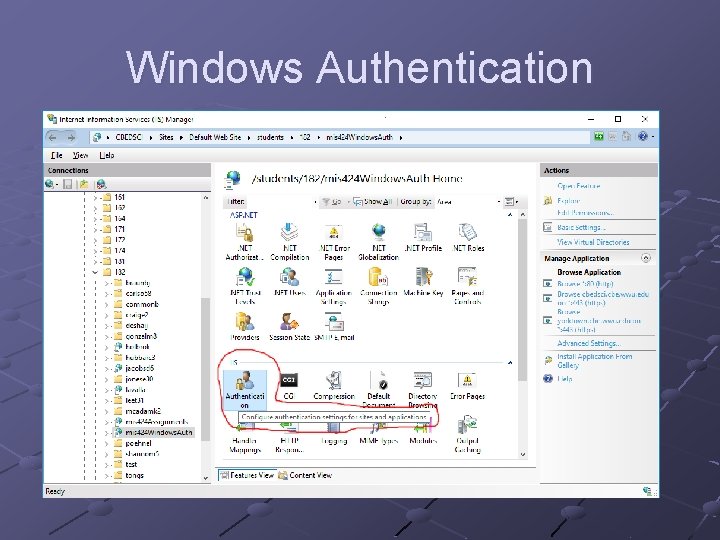 Windows Authentication 