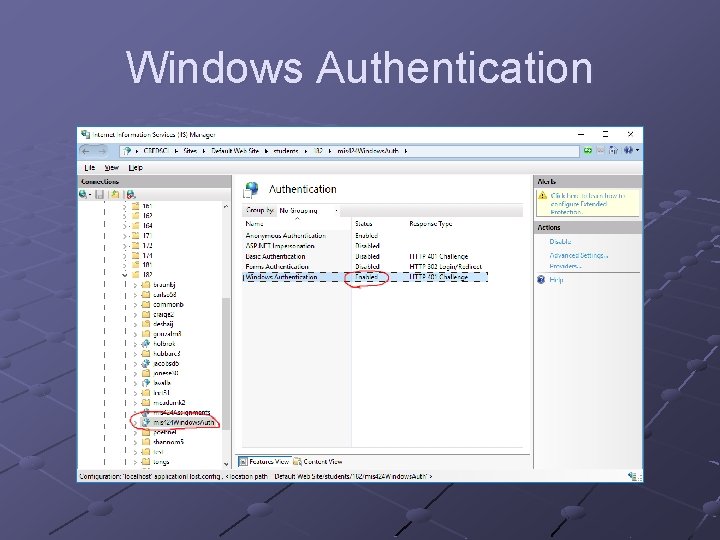 Windows Authentication 