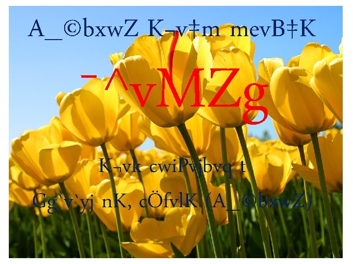 A_©bxw. Z K¬v‡m mev. B‡K ¯^v. MZg K¬vk cwi. Pvjbvq t Gg`v`yj n. K,