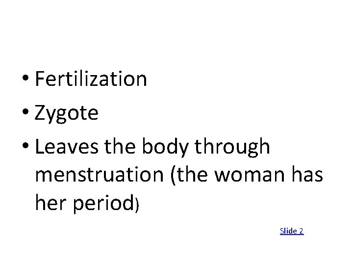  • Fertilization • Zygote • Leaves the body through menstruation (the woman has