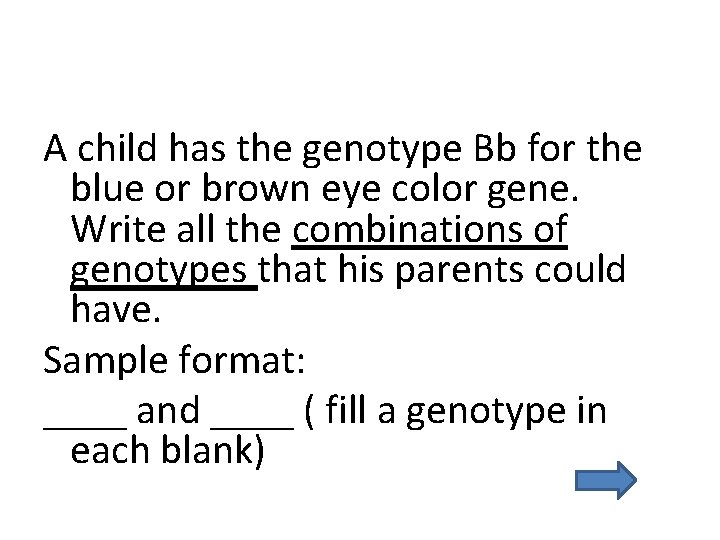 A child has the genotype Bb for the blue or brown eye color gene.
