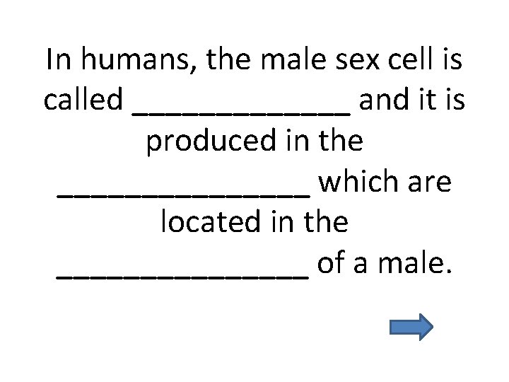 In humans, the male sex cell is called _______ and it is produced in