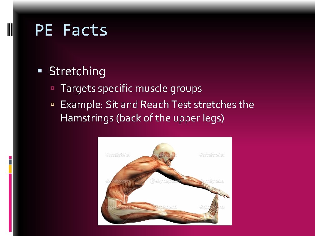 PE Facts Stretching Targets specific muscle groups Example: Sit and Reach Test stretches the