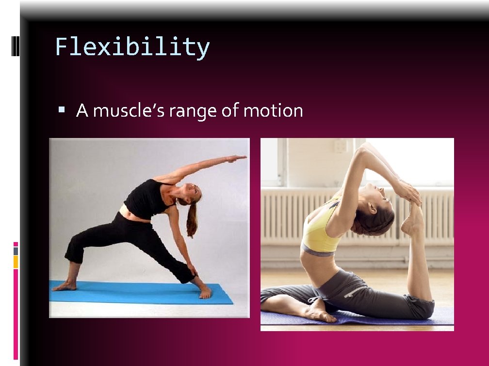 Flexibility A muscle’s range of motion 