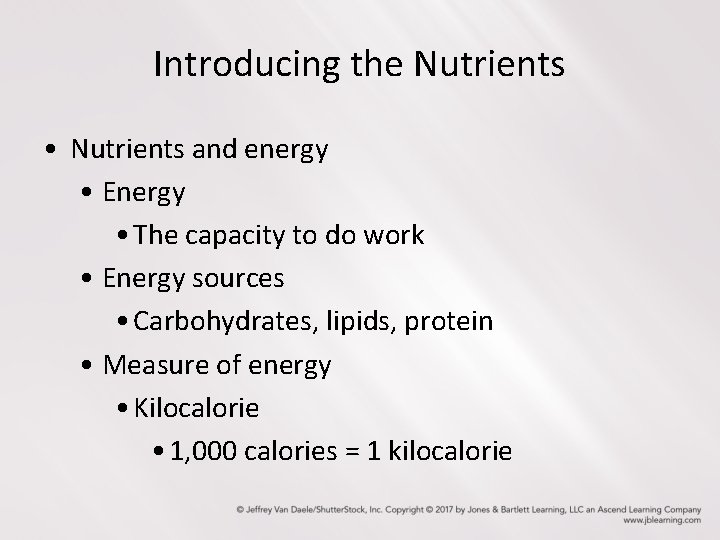 Introducing the Nutrients • Nutrients and energy • Energy • The capacity to do