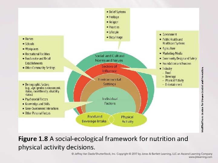 Figure 1. 8 A social-ecological framework for nutrition and physical activity decisions. Modified from: Figure 1. 8 A social-ecological framework for nutrition and physical activity decisions. Modified from: