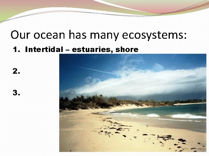 Our ocean has many ecosystems: 1. Intertidal – estuaries, shore 2. 3. 