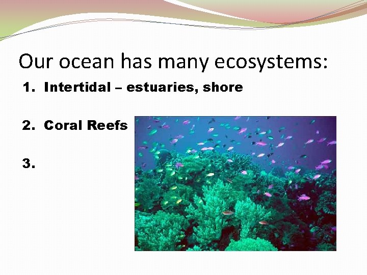 Our ocean has many ecosystems: 1. Intertidal – estuaries, shore 2. Coral Reefs 3.