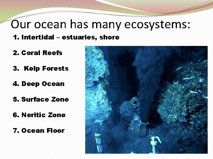 Our ocean has many ecosystems: 1. Intertidal – estuaries, shore 2. Coral Reefs 3.