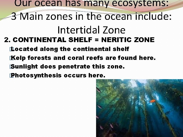 Our ocean has many ecosystems: 3 Main zones in the ocean include: Intertidal Zone