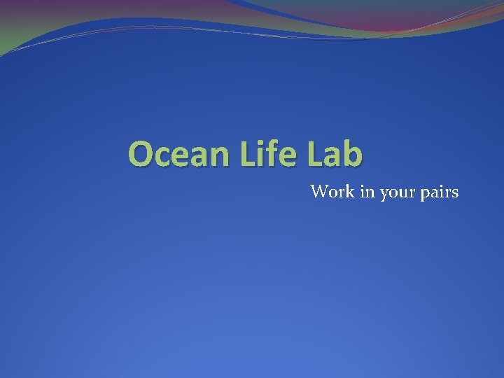 Ocean Life Lab Work in your pairs 