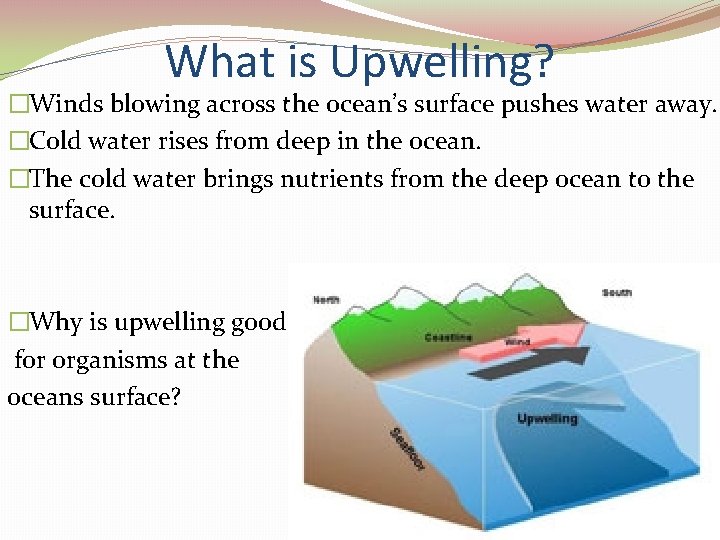 What is Upwelling? �Winds blowing across the ocean’s surface pushes water away. �Cold water