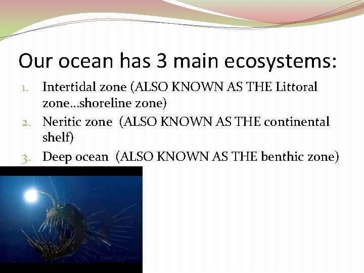 Our ocean has 3 main ecosystems: Intertidal zone (ALSO KNOWN AS THE Littoral zone…shoreline