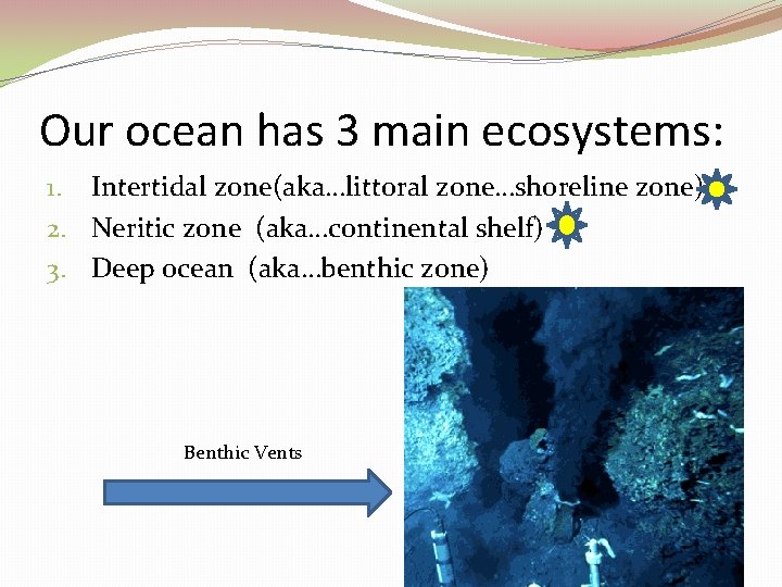 Our ocean has 3 main ecosystems: 1. Intertidal zone(aka…littoral zone…shoreline zone) 2. Neritic zone